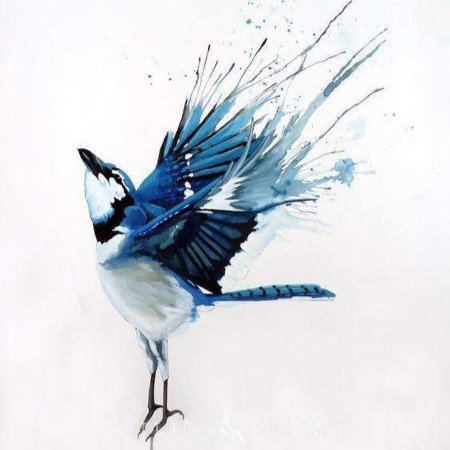 Птицы в полете акварелью