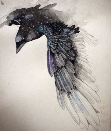Крылья акварель