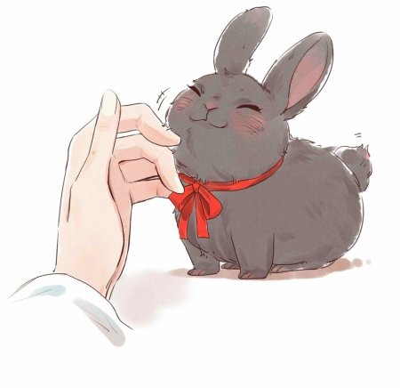 Милые иллюстрации животных