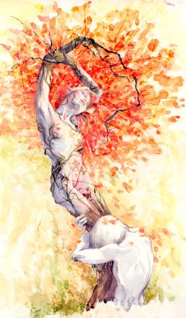 Женщина дерево