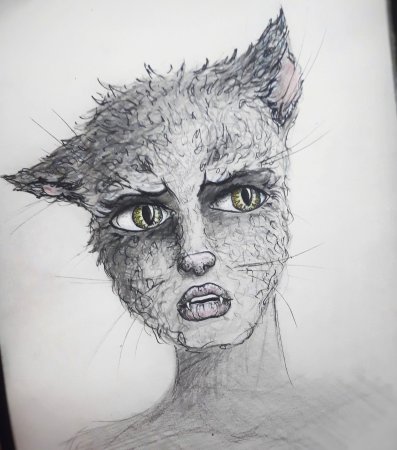 Кошка карандашом