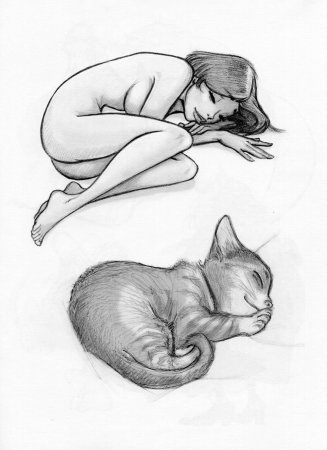 Коты в лежачей позе карандаш