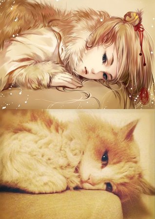 Котики в стиле аниме