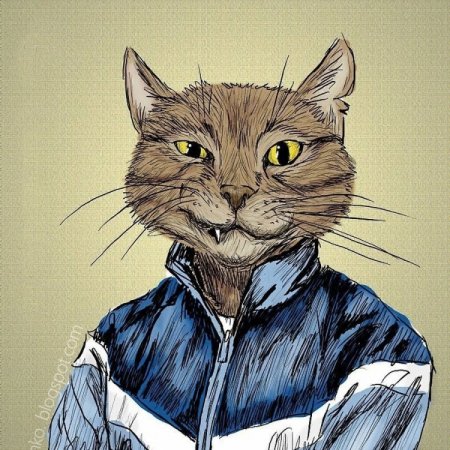 Кот в человеческой одежде