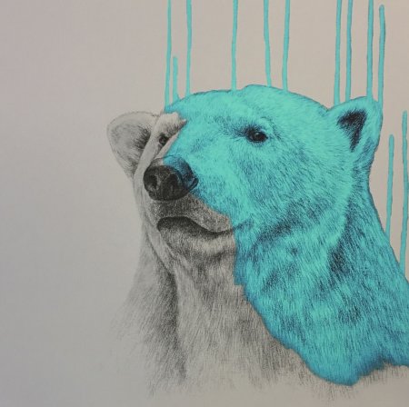 Полярный медведь арт