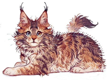 Коты Воители Мейн кун