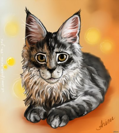 Коты Воители Мейн кун
