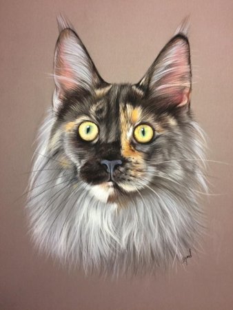 Мейн кун живопись