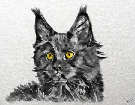 Мейн кун рисунок