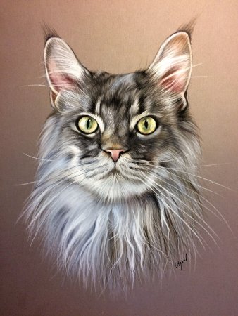 Портреты кошек живопись