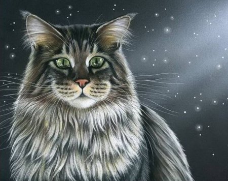 Кошки Ирины Гармашовой