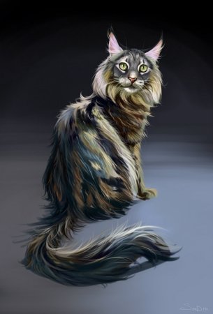 Коты Воители Мейн кун