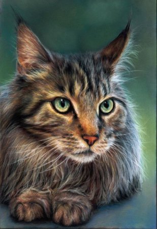 Реалистичный кот