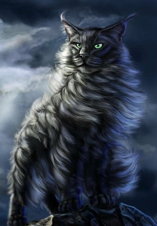 Мейн кун кот воитель
