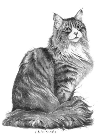 Кошка рисунок