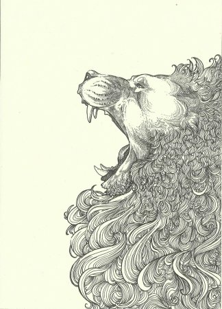 Раскраска антистресс Лев