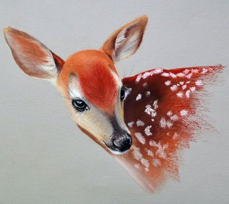 Животные сухой пастелью