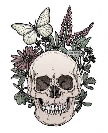 Стилизованные черепа