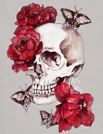 Череп рисунок карандашом