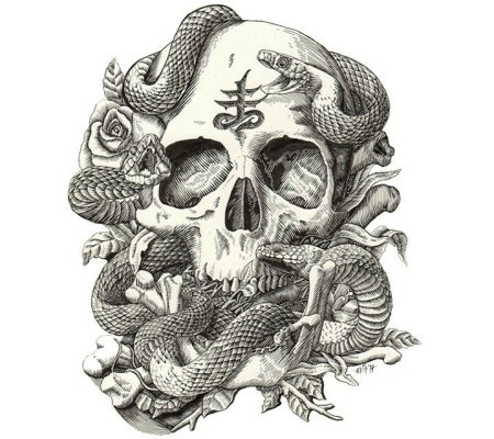 Скелет черно белый