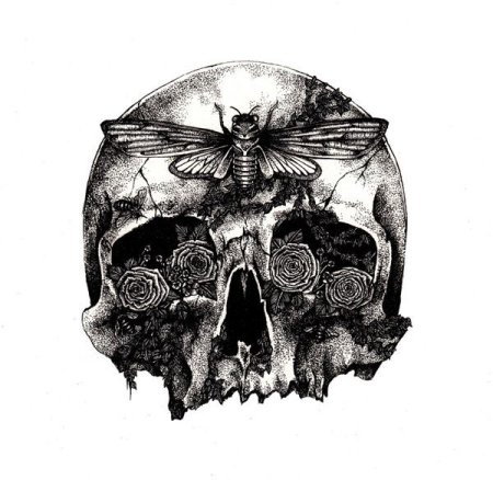 Череп рисунок