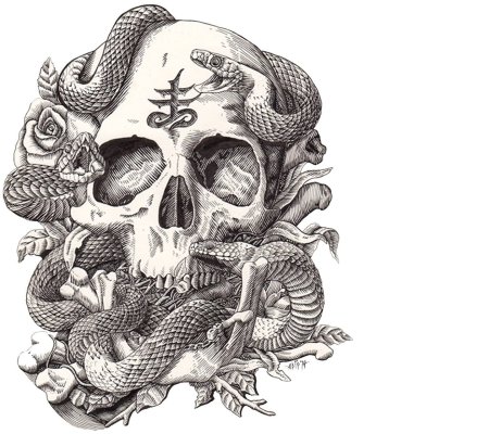 Череп эскиз
