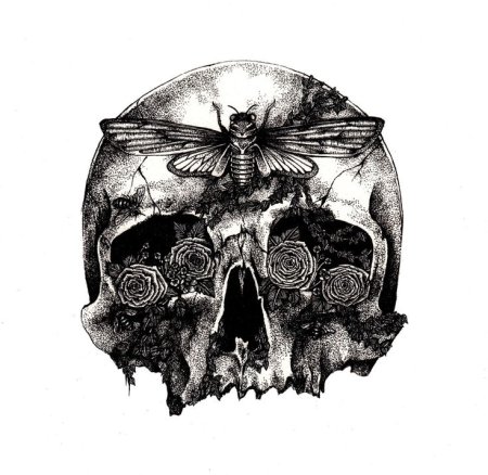 Череп рисунок