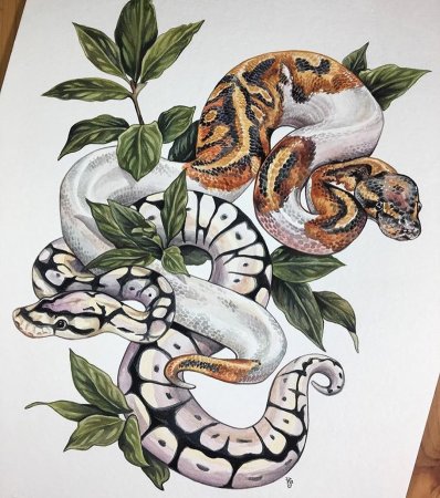 Эскиз тату змея цветная
