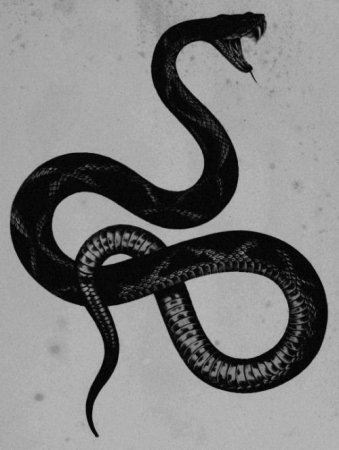 Черные змеи арт
