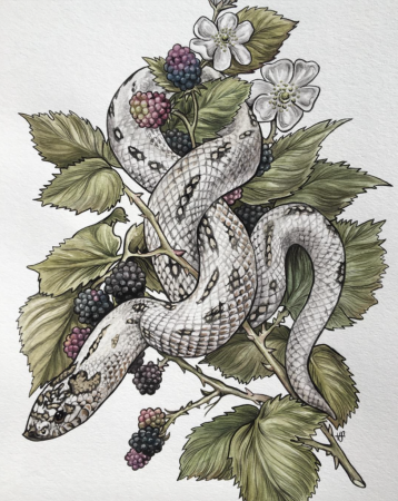 Тату змея акварель