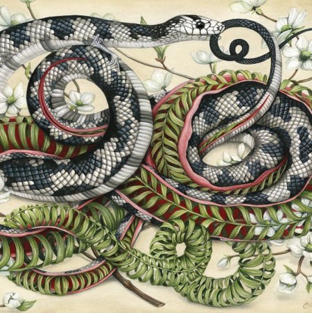 Композиция змеи