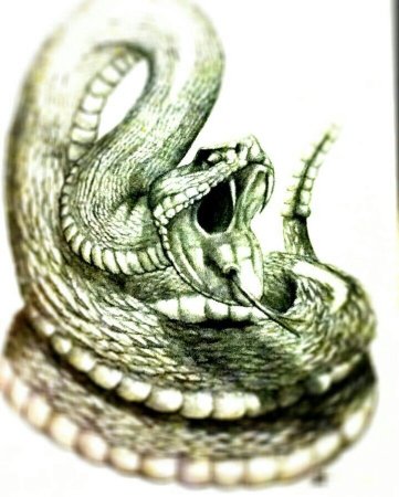 Злая змея