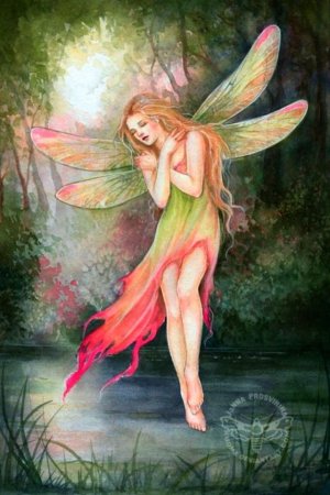 Девушка Фея