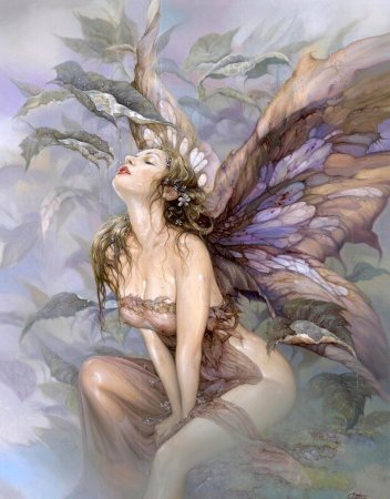 Феи и эльфы