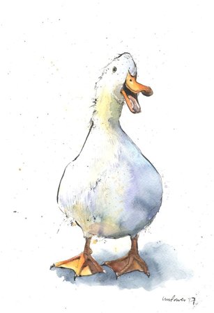 Гусь скетч