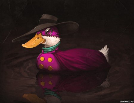 Черный плащ Гусь