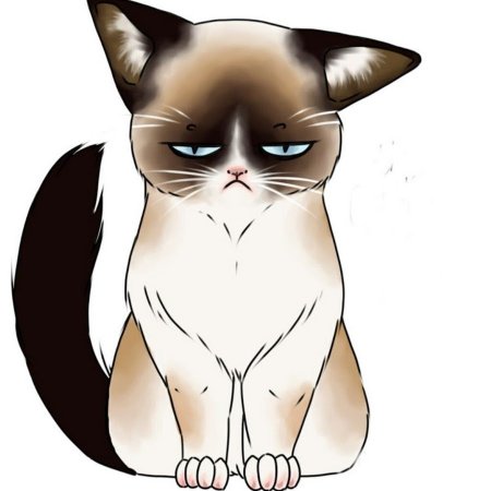 Кот арт