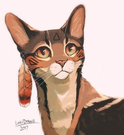 Коты Воители LOKIDRAWZ