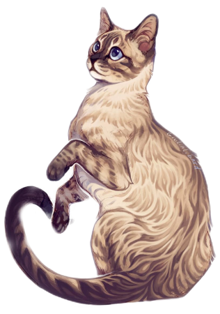 Коты Воители Сиамская кошка