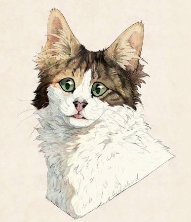Арт котов