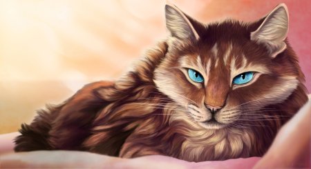Коричневая кошка с голубыми глазами