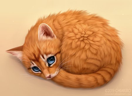 Котики арт