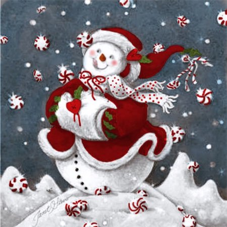 Джанет Стевер Снеговик