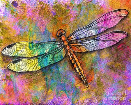 Стрекоза цветными карандашами