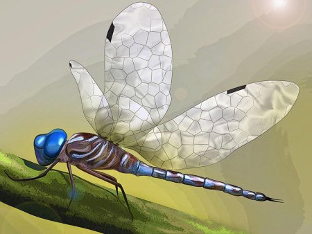 Стрекоза Сказочная