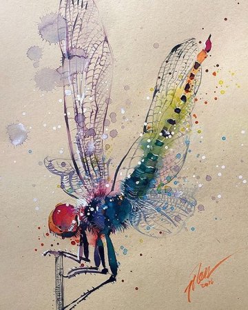 Акварельные Стрекозы