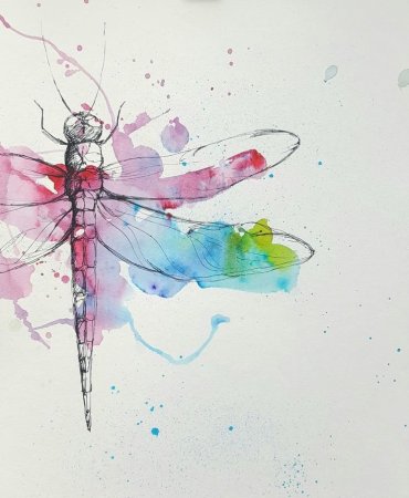 Стрекоза Ботаническая иллюстрация