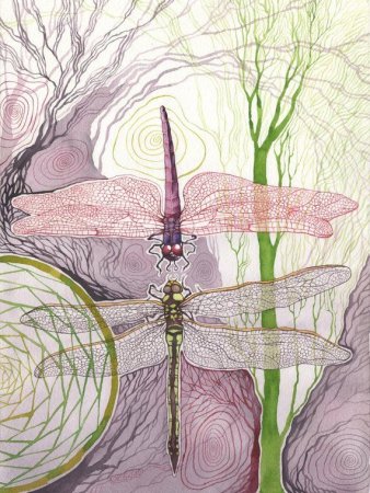 Акварельные Стрекозы
