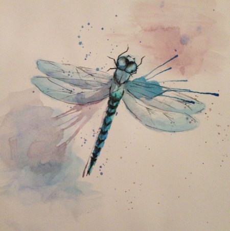 Стрекоза зарисовка