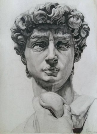 Давид Микеланджело голова